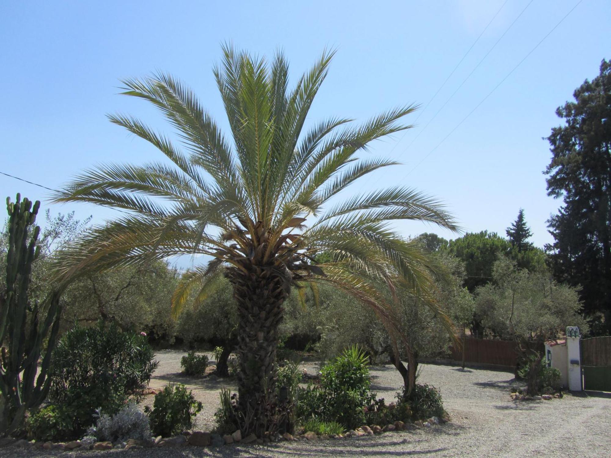 La Casa Palmera - Caminito Del Rey Pizarra Luaran gambar